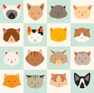 Set of cute cats icons vector flat illustrations