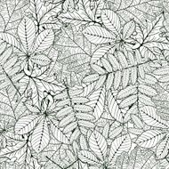 oak chestnut rowan maple leafs