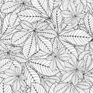 chestnut leaf N2