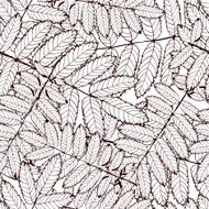 rowan leaf N3
