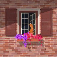 Open window and the cat