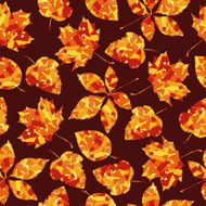 BACKGROUND N295