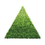 Triangle of green grass