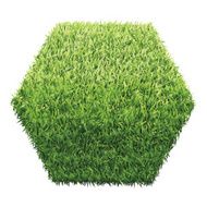 Hexagon of green grass