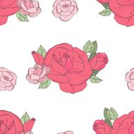 Pink rose on the white background N6
