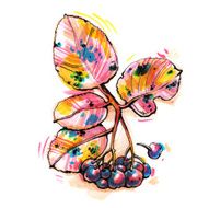 multicolor twig chokeberry