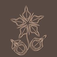 Geometry flower N2