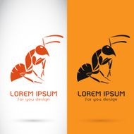 Vector image of a ant design