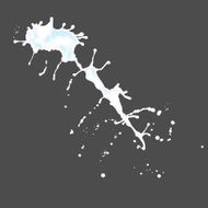 Drops splashes vector N17