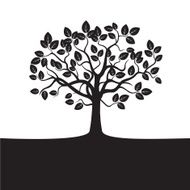 Black Tree N6
