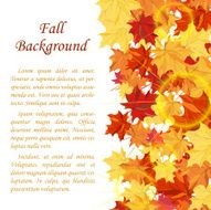 Autumn Frame N13