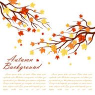 Autumn Frame N14