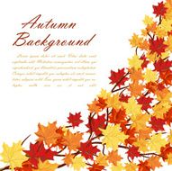 Autumn Frame N15