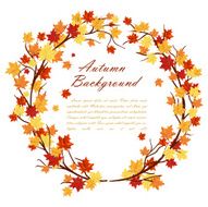 Autumn Frame N16