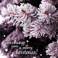 Christmas Card Template N15