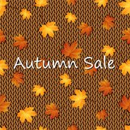 Autumn maple leaves on the knitted background N2