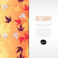 Autumn Background N44