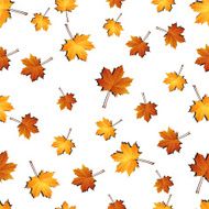 Autumn maple leaves seamless pattern background N3