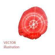 Abstract Colorful Watercolor Paintbrush Mark Vector N2