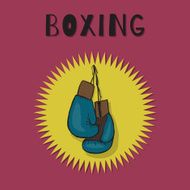 Boxing Gloves N21