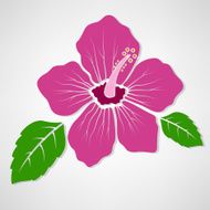 Hibiscus flower symbol concept