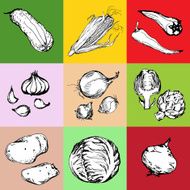 Web icon set of different hand drawn vegetables N4
