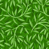 Seamless pattern with willow leaves Vector illustration