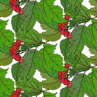 Seamless vector pattern with hand drawn guelder rose branches N2