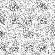 Seamless vector pattern with hand drawn guelder rose branches N3