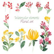 set of watercolor flowers and leaf N2