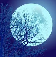 autumn branches and the moon