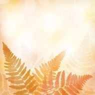 Fall leaves background N12