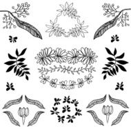 Hand draw collection of plants flowers and leaves vector set