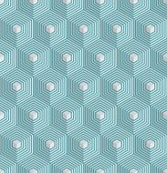 Hexagon vector background N2