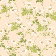 Seamless pattern with Camomile flowers N4