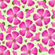 Vector seamless pattern with pink flowers and buds