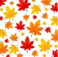 autumn leaves N49