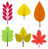 autumn leaves N50