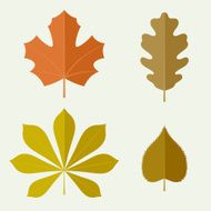 Autumn leaves in flat style