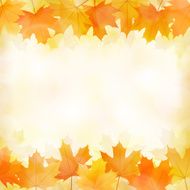 Fall leaves background N13