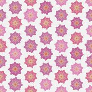 Seamless colorful background made of lotus