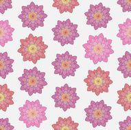 Seamless colorful background made of lotus N2