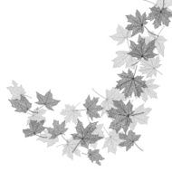 Autumn leaves monochrome template