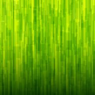 Abstract background green texture