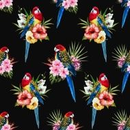 Watercolor vector rosella bird pattern N4