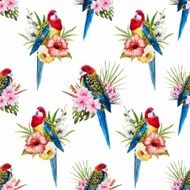 Watercolor vector rosella bird pattern N5
