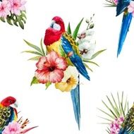 Watercolor vector rosella bird pattern N6