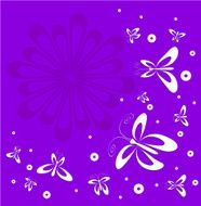 Butterflies and Flower