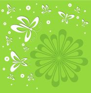 Butterflies and Flower N3