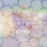 Blurred background and seamless pattern